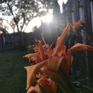 Meet your Posher, Mia